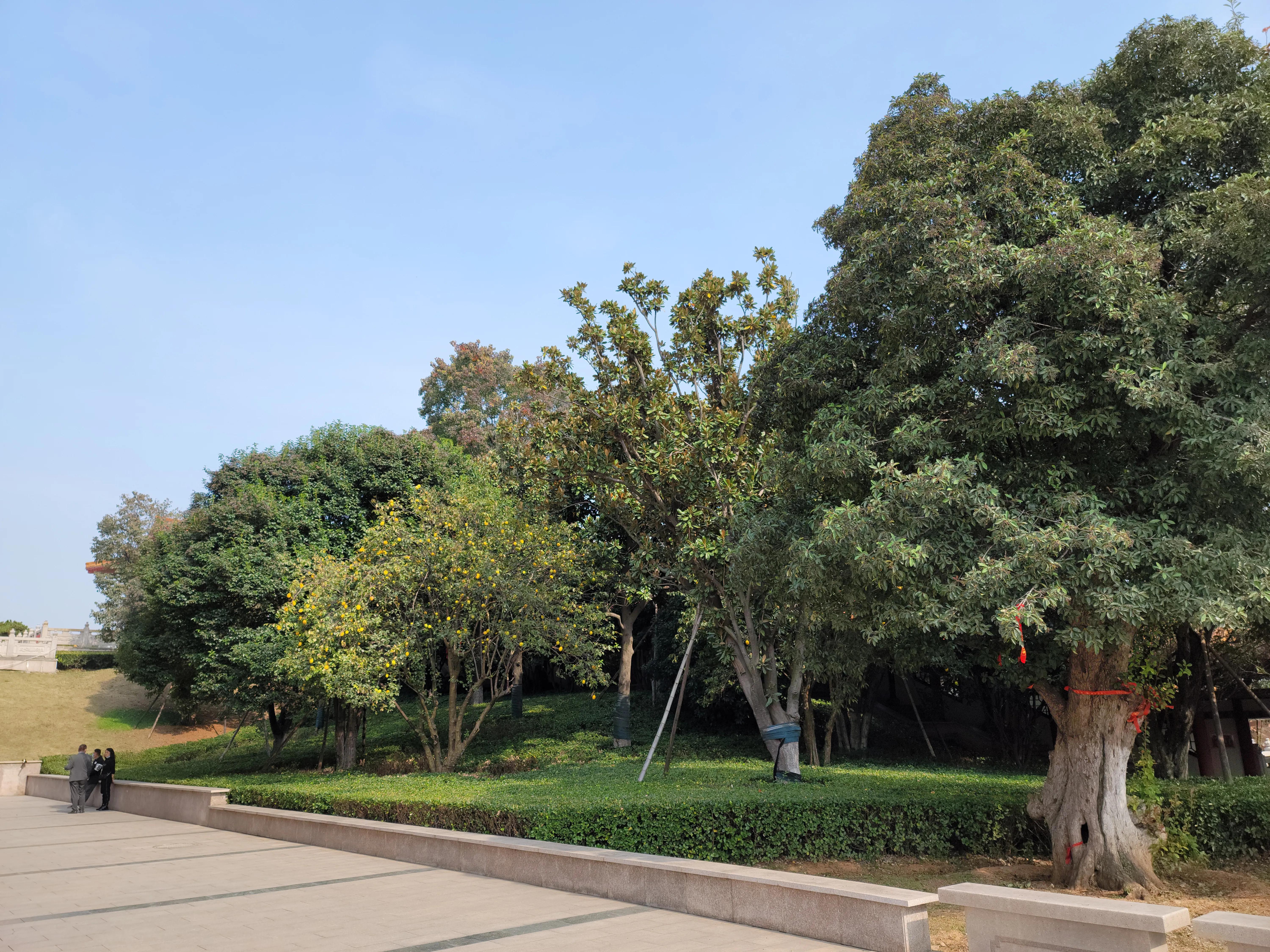 蟠桃山佛教文化景区门票预约,蟠桃山游览图