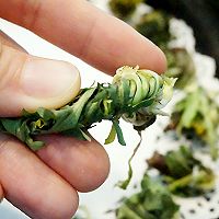 秋天上火喝蒲公英茶有好处吗,治疗痘痘用蒲公英叶还是根