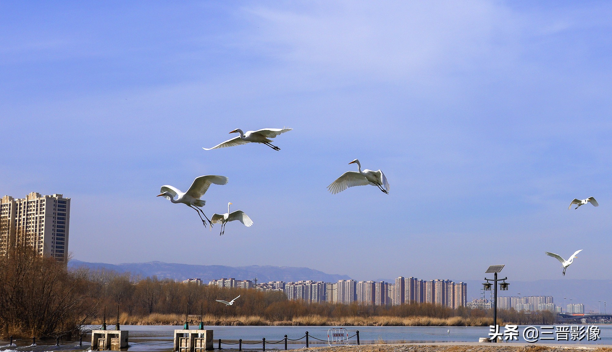 佳能r5转接佳能ef50l拍摄的作品,佳能r5转接ef镜头感觉没有5d4清晰