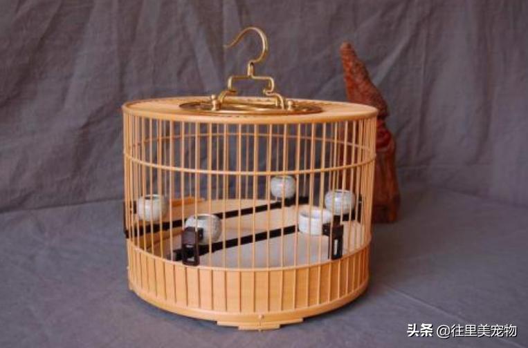 自制鸟笼鸟窝怎么固定,画眉鸟笼子制作详细的方法