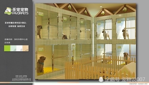 泉州开宠物店要投资多少,投资宠物店能赚到钱吗