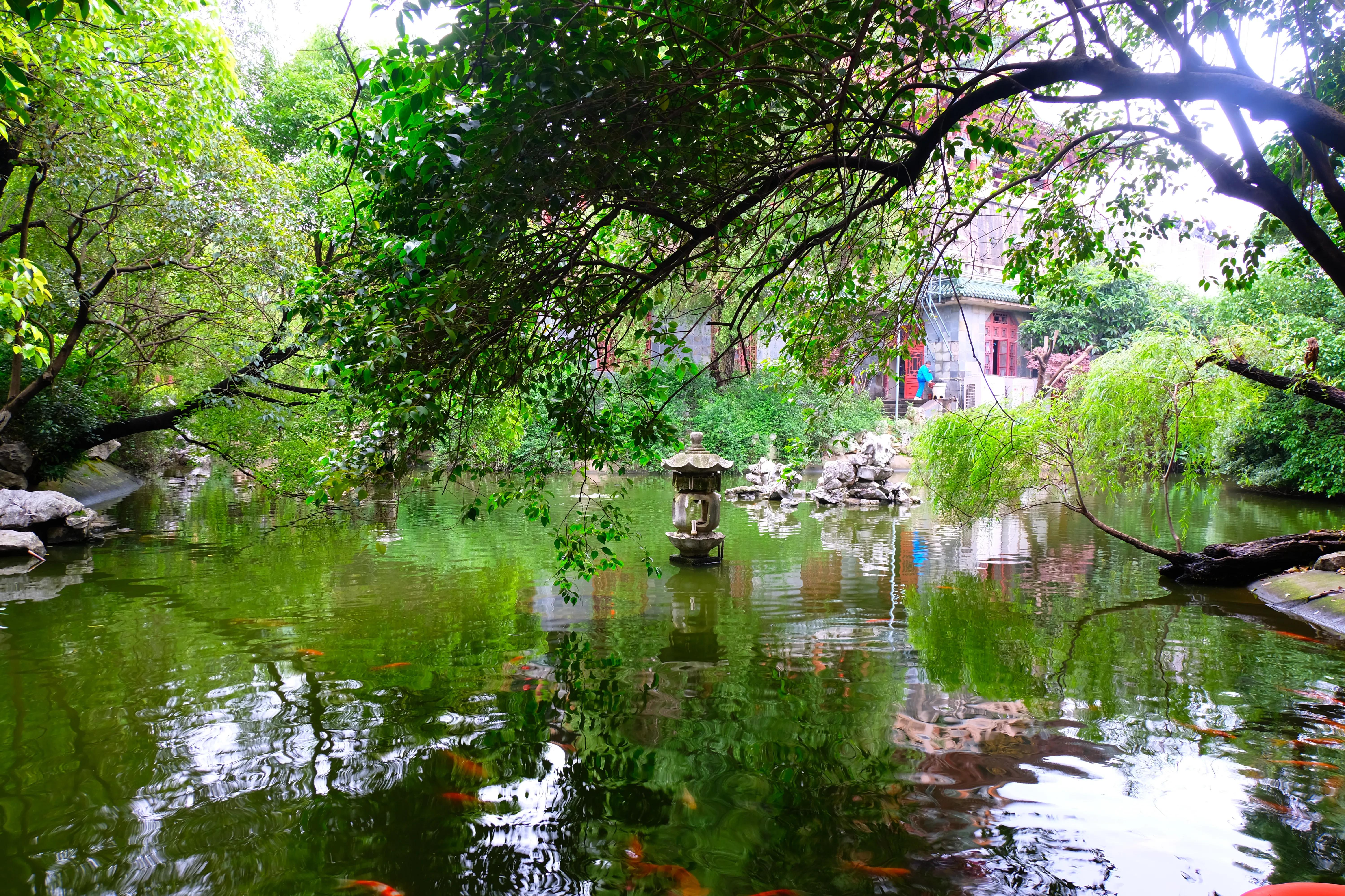 近期南昌一日游攻略,南昌十一四日游