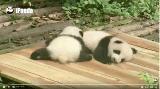 老外以为中国留学生都会武术,外国同学以为中国人都会功夫