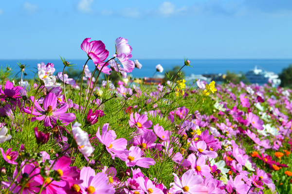 青甘大环线几月份去比较好,甘青大环线旅游跟团游旅行社报价