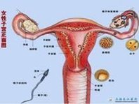 一胎早产二胎要如何预防早产,早产的问题及解决办法