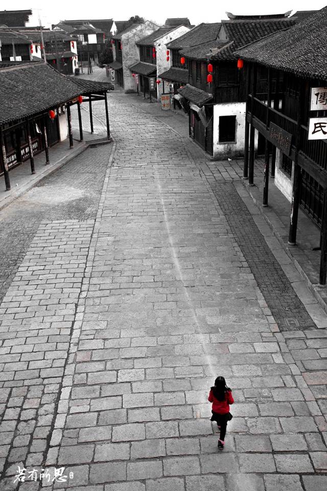 游走在沙家浜湿地公园,沙家浜风景区湿地渔乐园