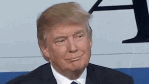 英语单词都认识却不会翻译怎么办,单词都认识但是不会翻译