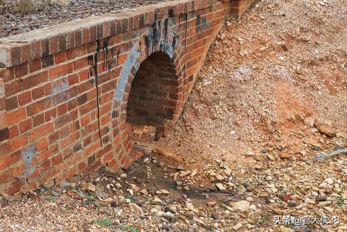 小的时候,有一次掏阴沟,居然有意外的发现,收获颇丰,大快朵颐