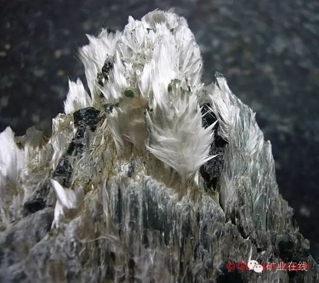 常见的矿物岩石有哪些,4种最常见于岩石里的矿物