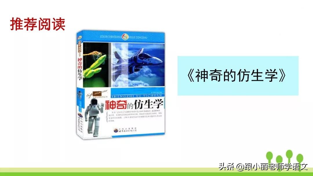 语文思维导图四年级上蝙蝠和雷达,人教版四年级上册蝙蝠和雷达朗读