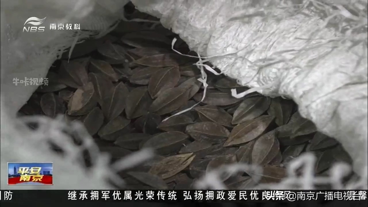 街头“神药”包治三高?民警凌晨抓捕*子骗**