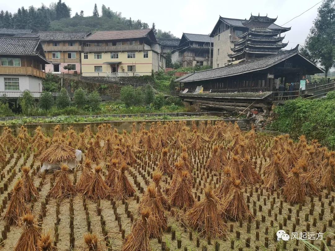 侗寨自由行游记,自驾侗族八寨攻略