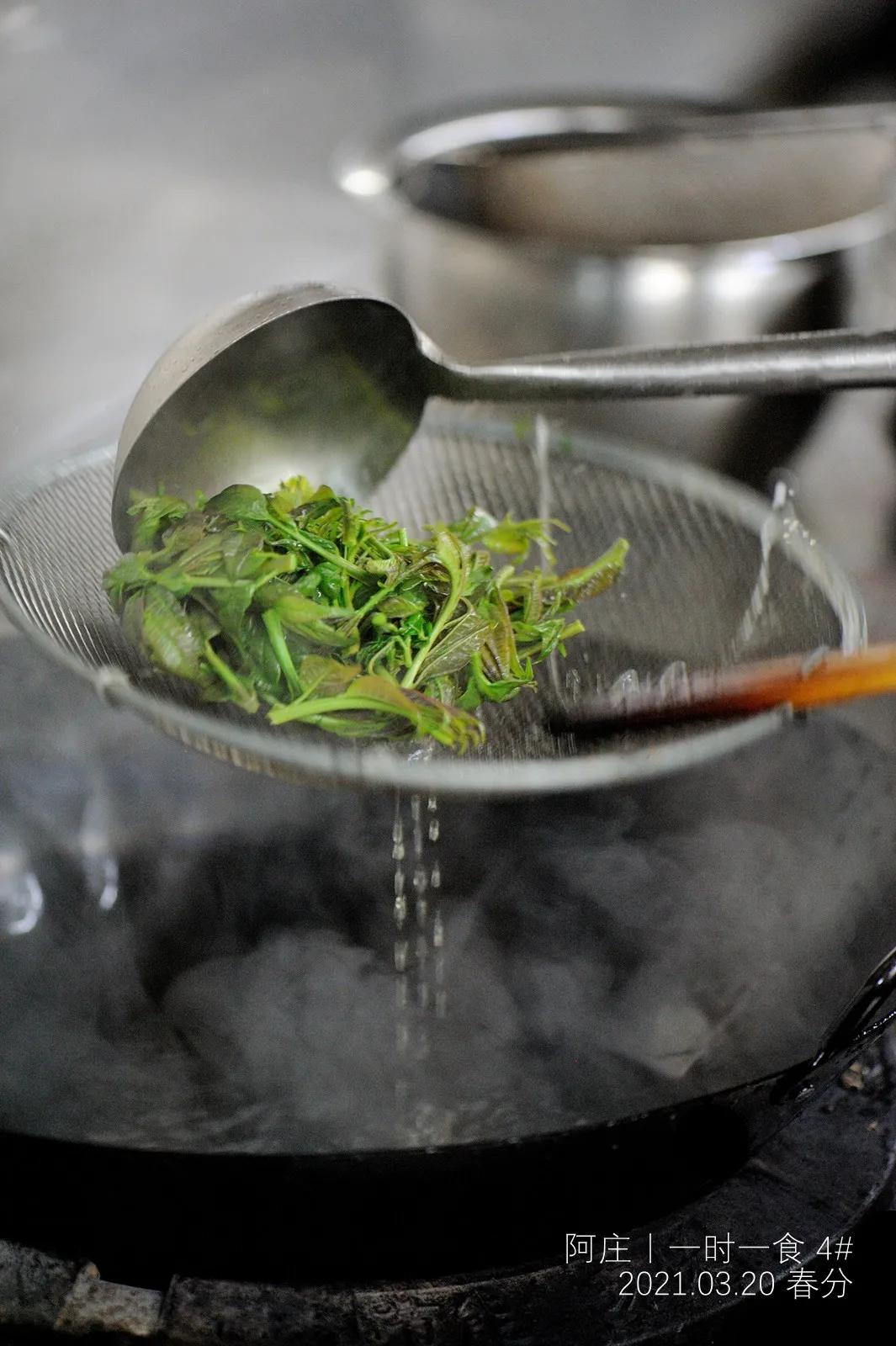 舌尖上的春天香椿菜,舌尖上的春天美食之香椿