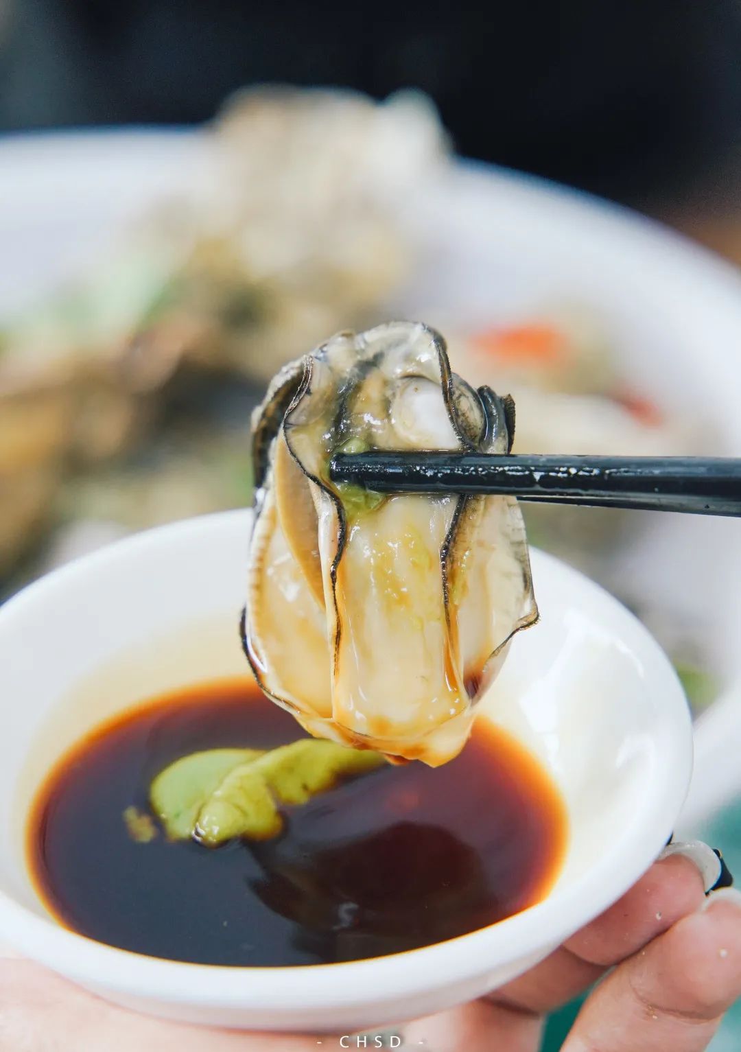 520「本味寒造」来寻味顺德啦！低至44折食全蚝套餐