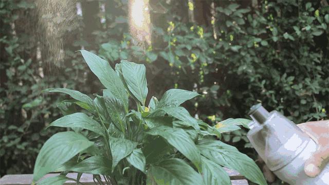 夏季遛娃便携好物,夏日带娃出游好物