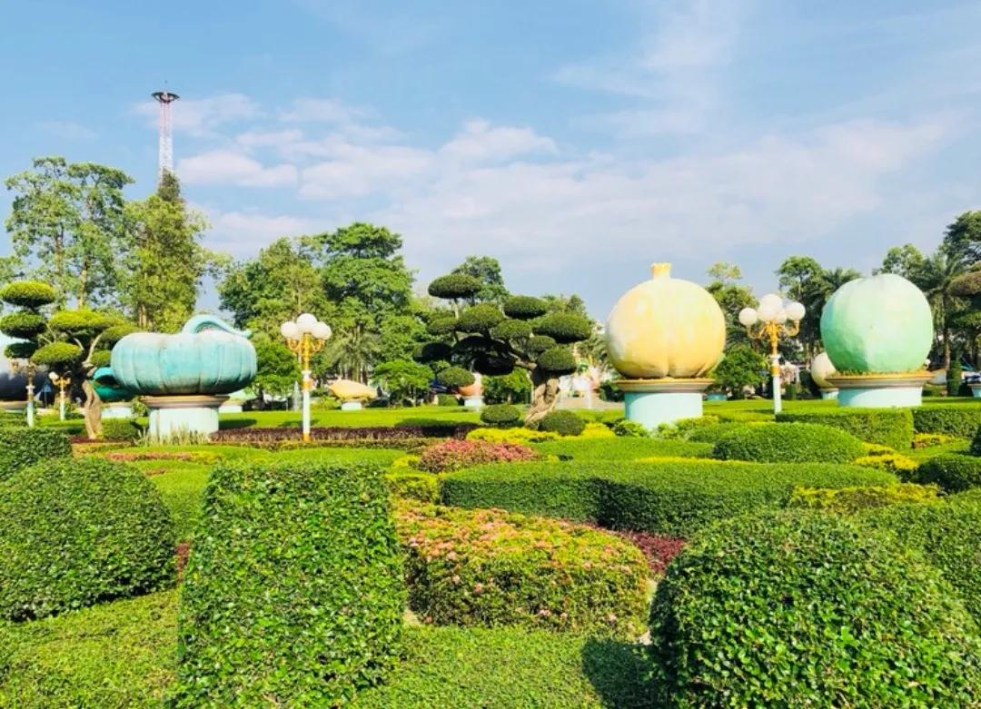 阿莲的聊天,阿莲聊短视频