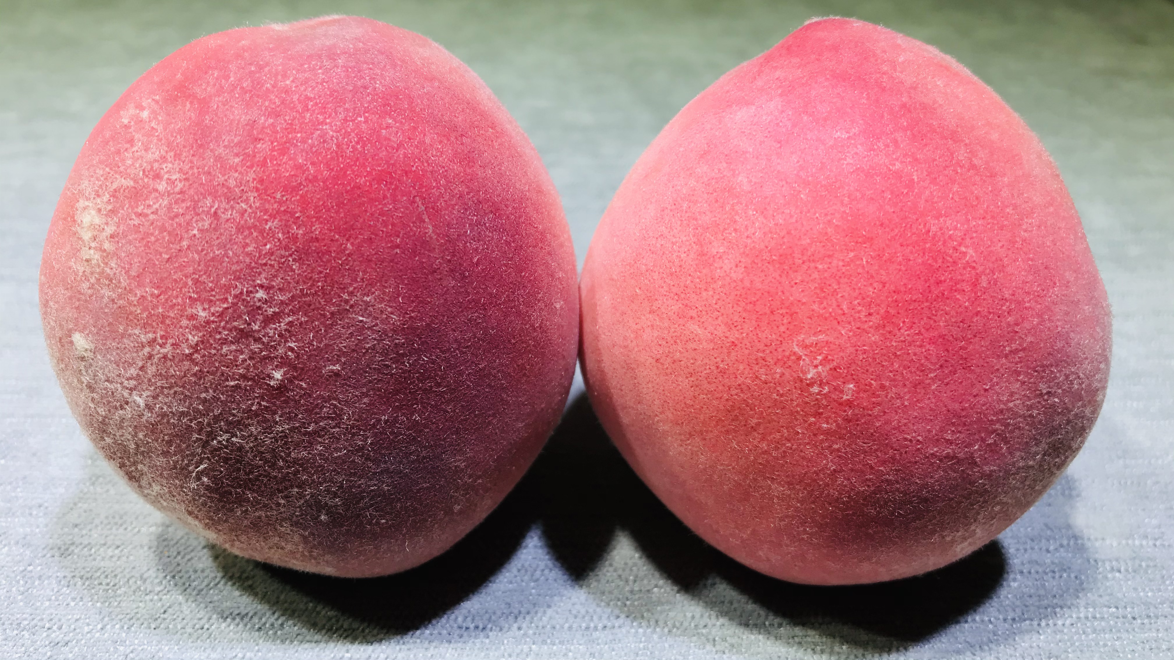 桃子增甜的最好办法,桃子甜又多汁的秘诀