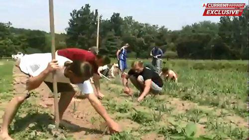 澳媒曝光残害儿童异端教派五岁女童蜡烛厂打工