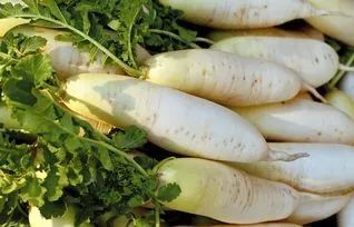 鼻干喉痒、咳嗽、头皮屑多...照着吃,整个秋冬不干不燥不生病