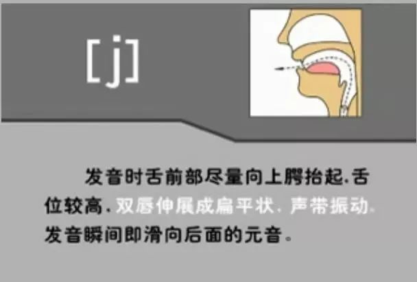 英语音标发音表48个音标正确读法,英语干货48个音标快速记忆法下