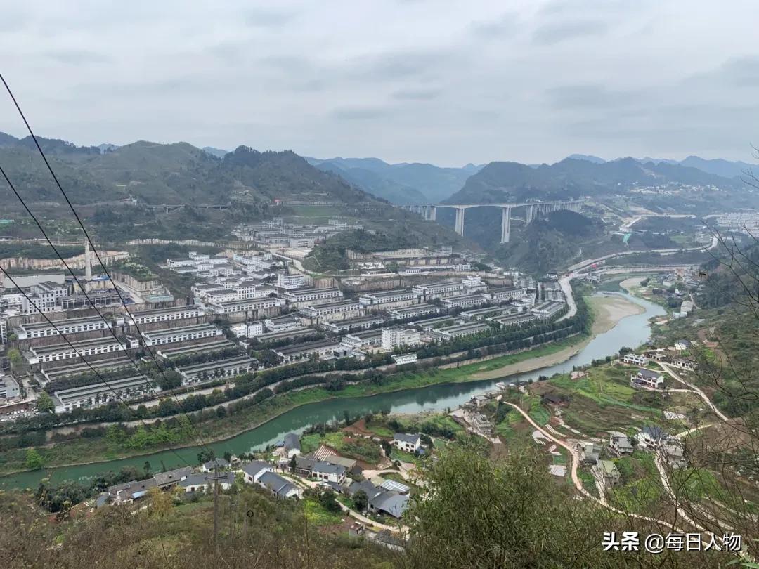 挣得比大厂多，把人生泡在酒里，那些不想离开茅台镇的年轻人