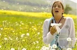 不适合室内种植的有毒绿植,十种有毒的绿植