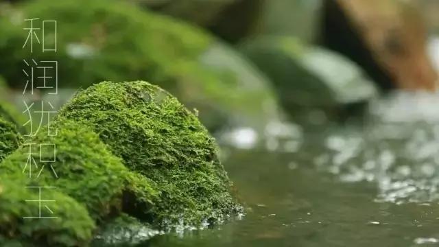 日本发扬光大的中国乐器,日本气势磅礴乐器