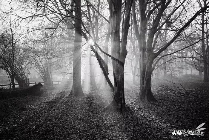 经典广角镜头,那些惊艳众人的封神镜头