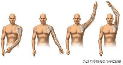 骨折延迟愈合与骨折不愈合的区别,骨折愈合后多久做伤情鉴定