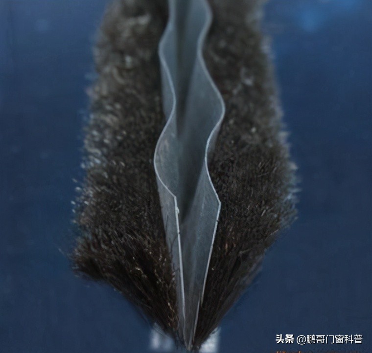 门窗密封毛条图片大全,门窗密封毛条怎么更换