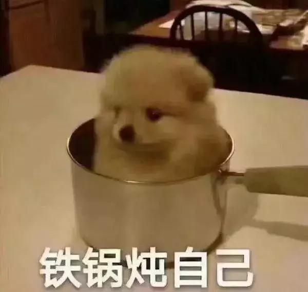 打假网红减肥法！看看瘦身博主们，如何让大家交智商税的