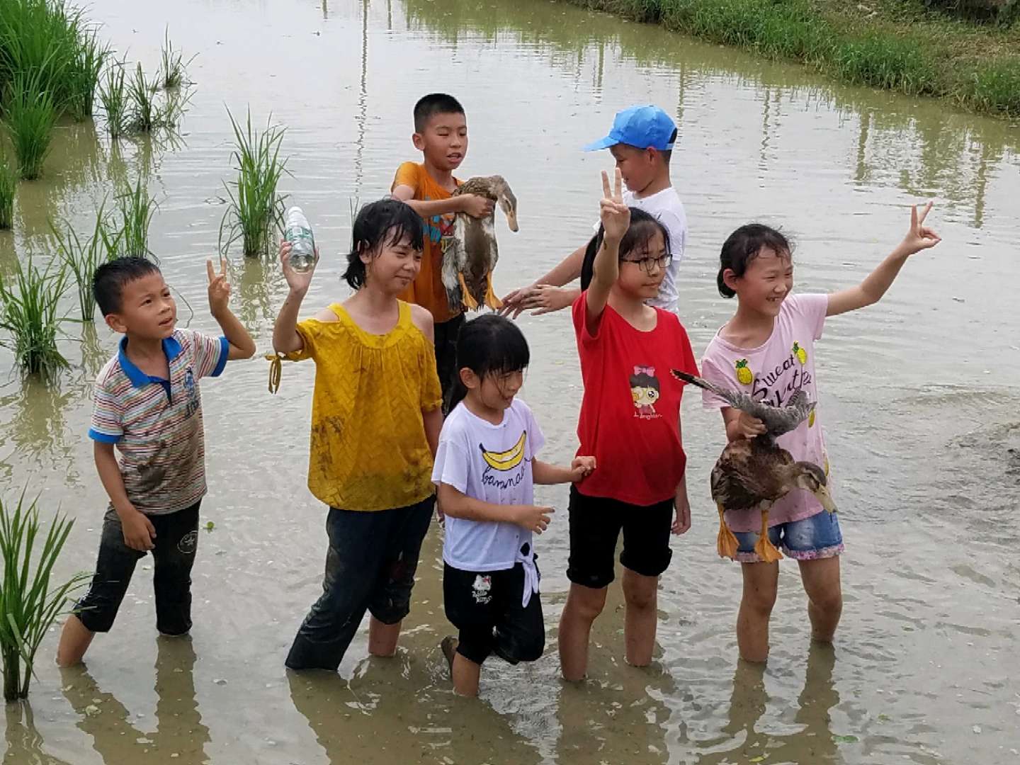 一个珠三角生态体验农庄的自救:捧着生态果蔬卖了个特价
