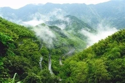 时代向南，戴村蕴藏了怎样的机遇和未来？这场论坛给你答案