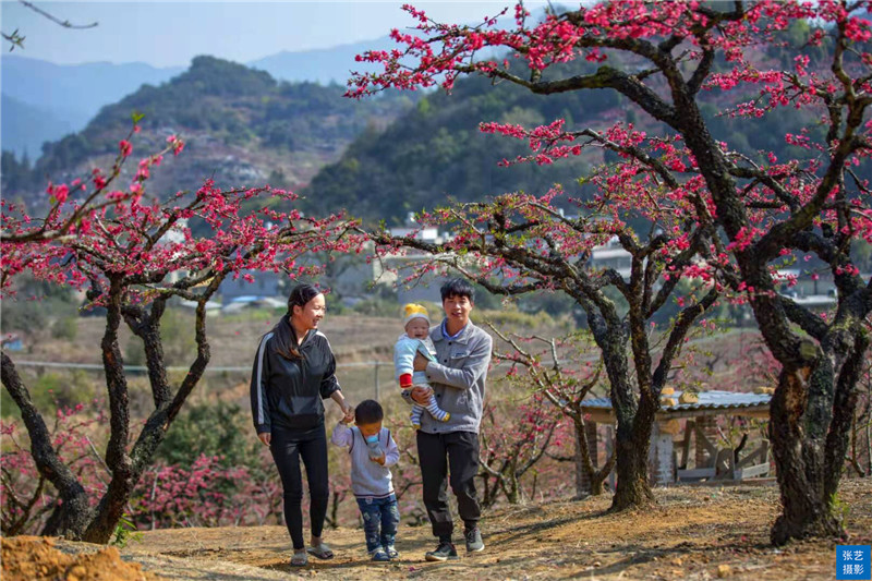 80后放弃广州高薪回家创业,放弃深圳高薪回家农村创业