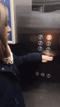 这只鹦鹉一直以为他是一只猴,所以每天都在重复做这个动作