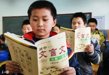 小学大语文怎么学最有效,大语文学习内容