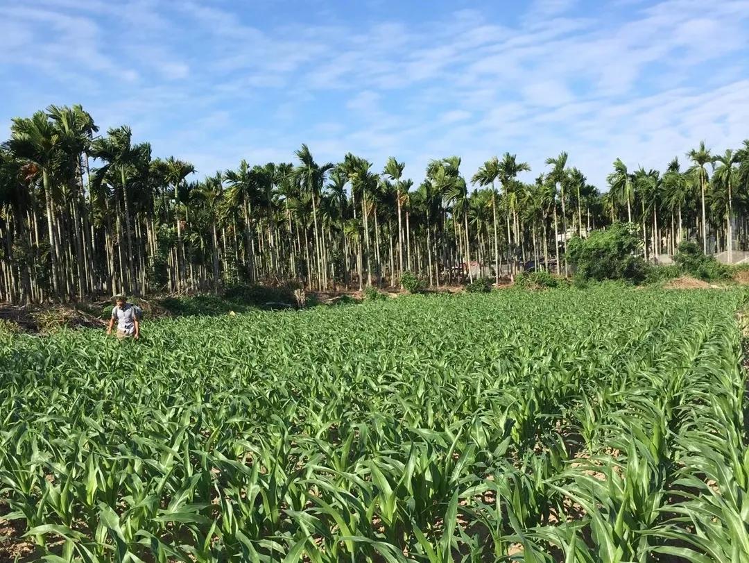 鑲ヤ埂娌冨湡绉嶄笟,鑲ヤ埂娌冨湡绉嶄笟鏈夐檺鍏徃鍦板潃