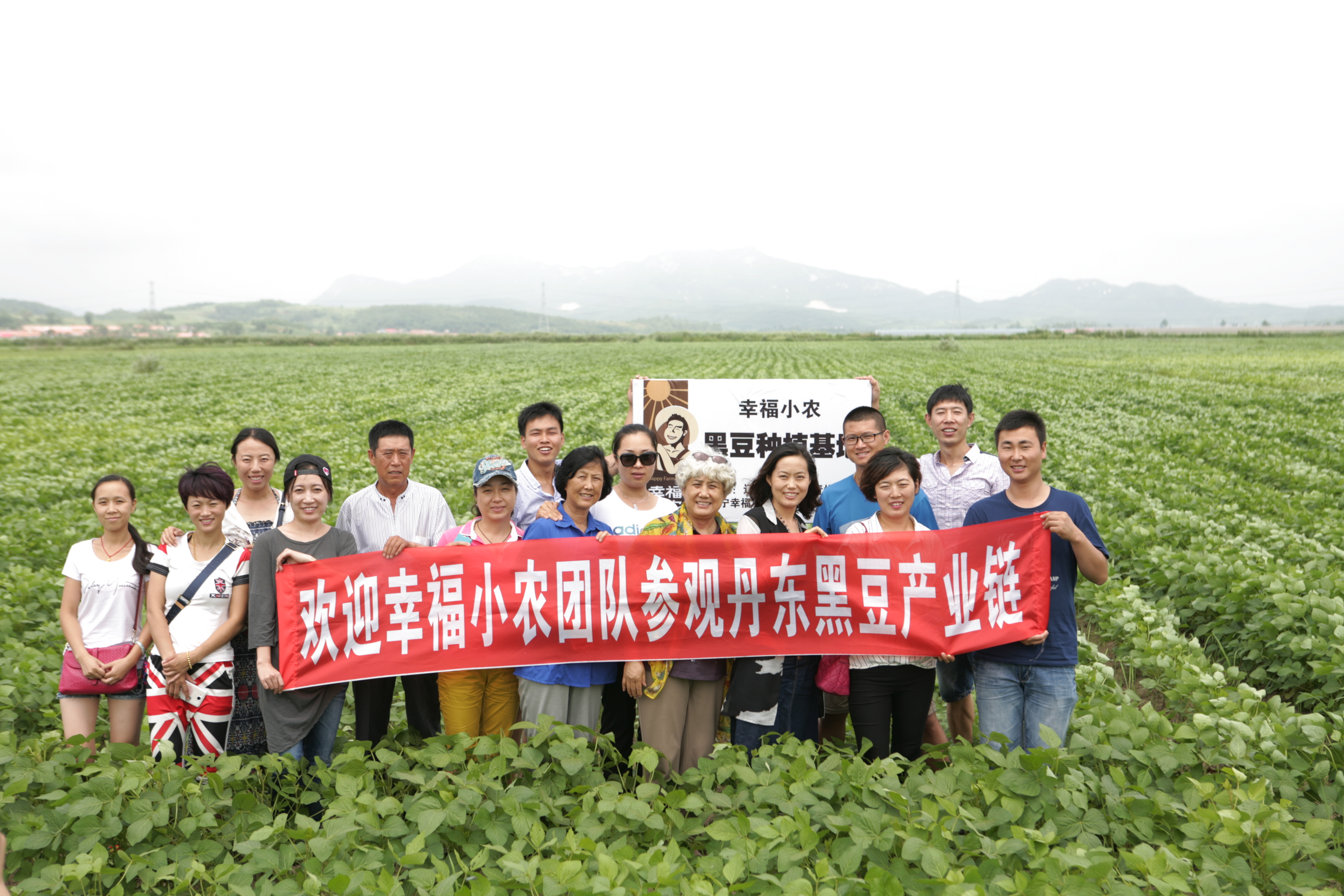 豆酱味道太大了,一瓶黄豆酱