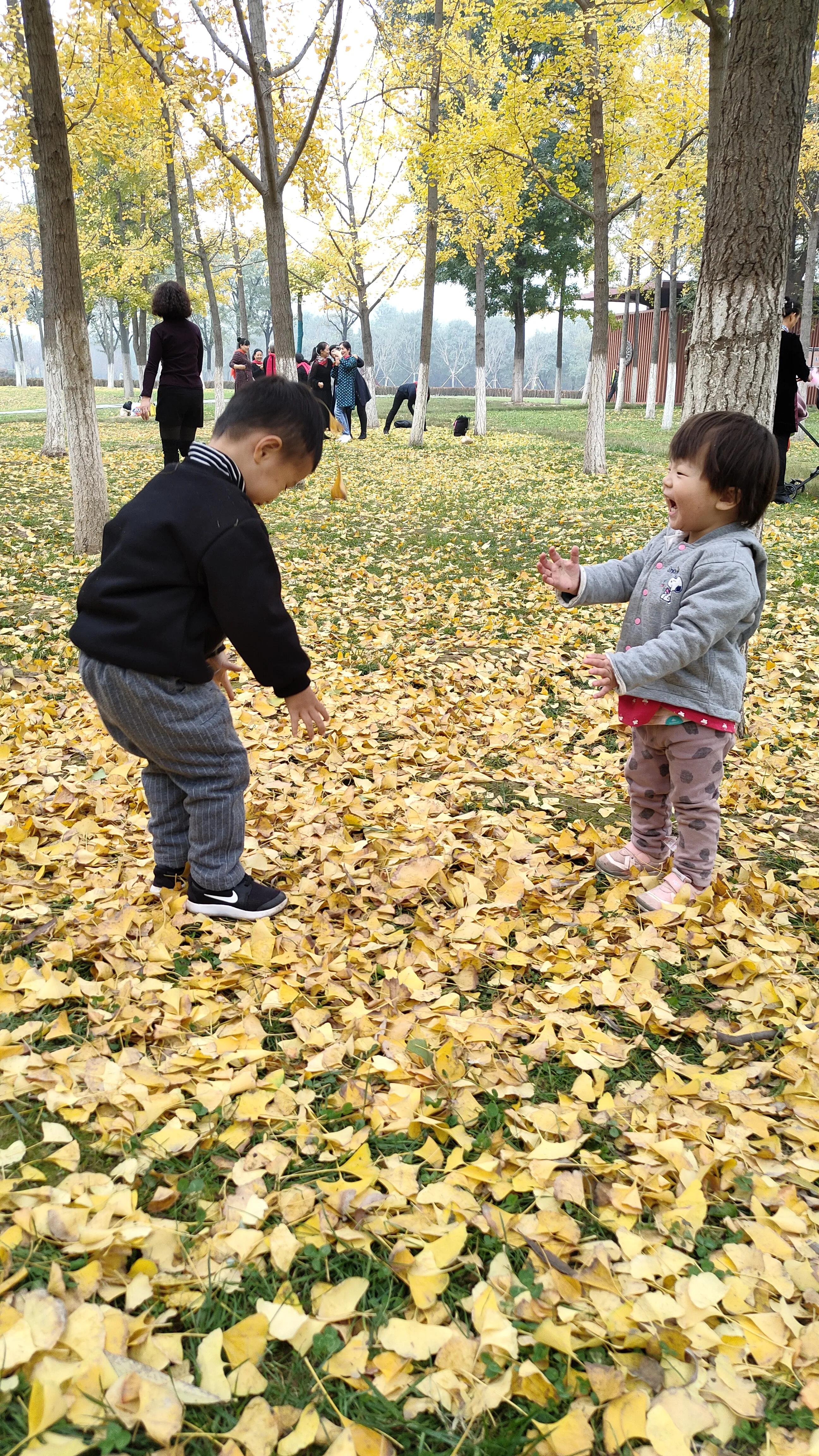 探寻西安大明宫国家遗址公园攻略,西安的大明宫遗址公园