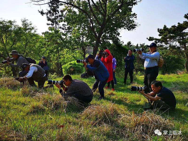 航拍最美临沭,临沭最美风景
