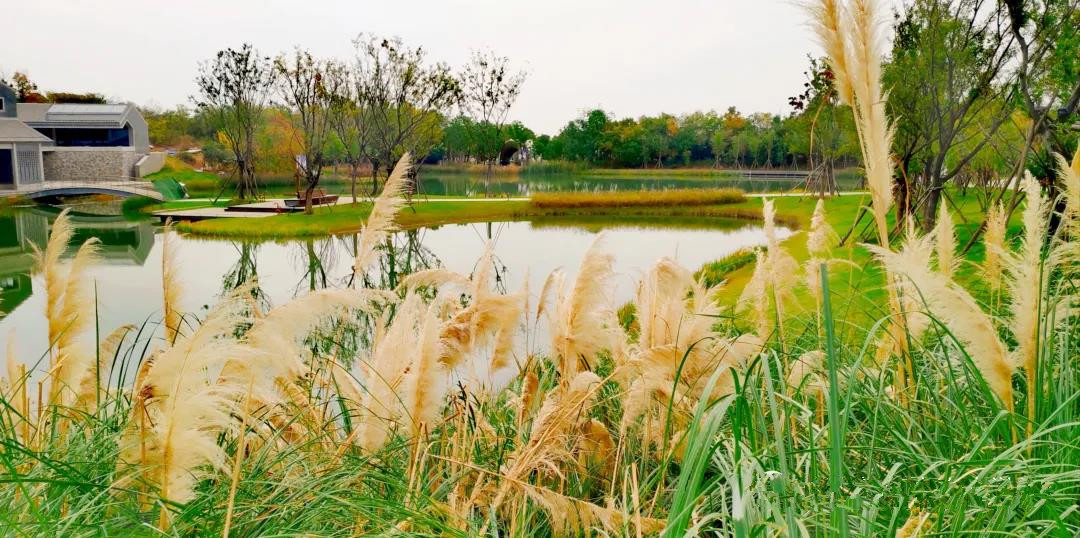 汤山矿坑公园,汤山矿坑公园项目