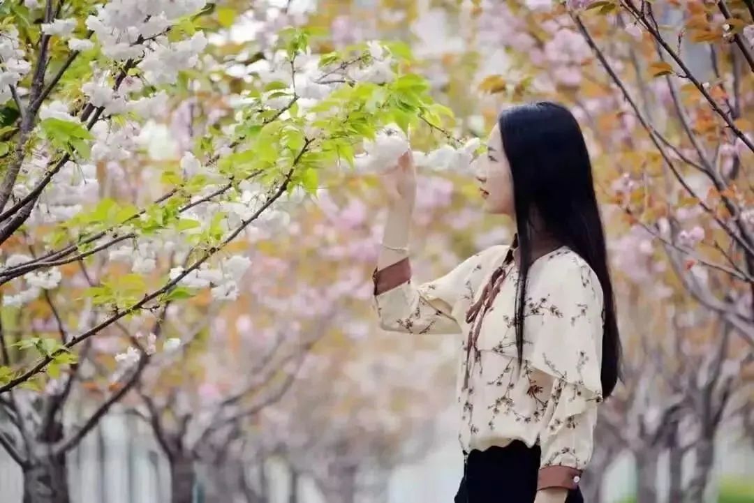 徐州生物工程职业学院2024年单招,徐州生物工程职业技术学院升本科