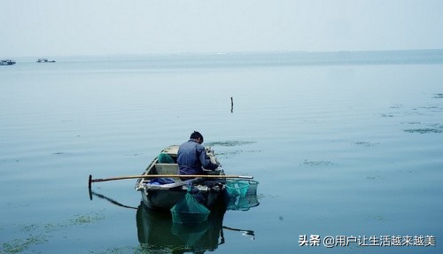 上海淀山湖好去处,上海淀山湖有什么好说