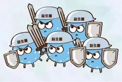 疫情蔓延，免疫力提高是关键！益生菌的秘密你应该要记住