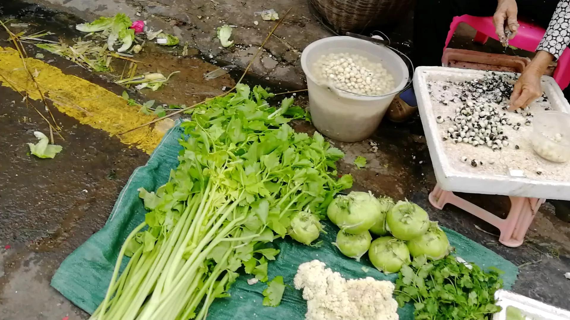 阳江海陵岛白蒲镇海鲜市场,海陵岛白蒲镇有什么好玩的地方