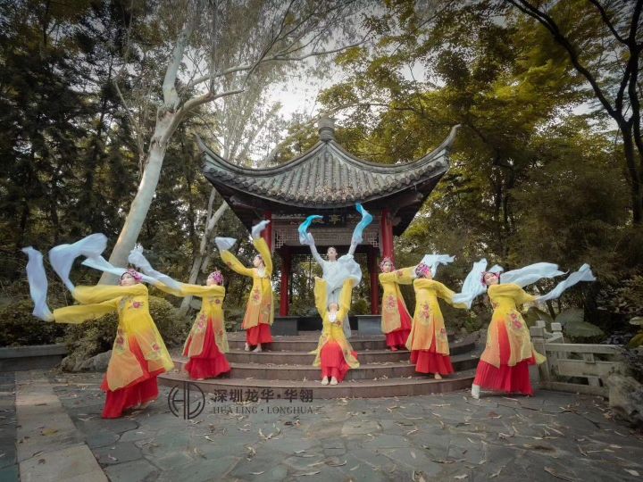 深圳哪里有成人舞蹈培训学校,深圳哪里有舞蹈培训班