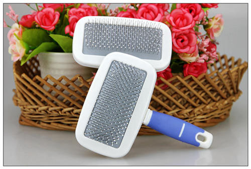 狗毛炸起来是什么原因,狗毛少了一块