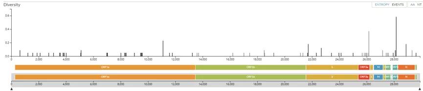 研究发现新冠病毒的源头不是华南海鲜市场，这意味着什么？