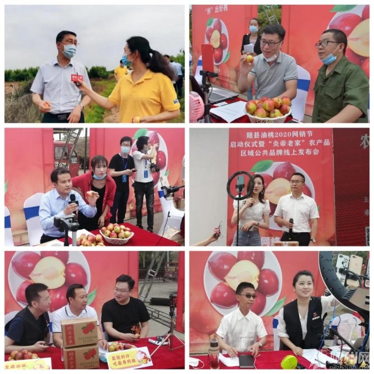 父母官进入直播间5分钟卖桃上千单随县“网销节”破解卖桃难