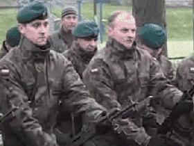 关于老鼠的搞笑图,虐待老鼠的搞笑gif